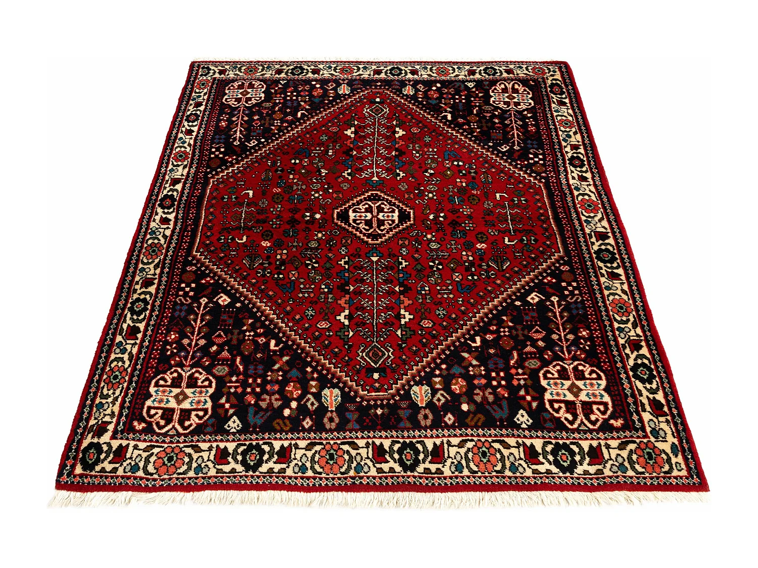 Woltapijt 149x108 Rood Afshar