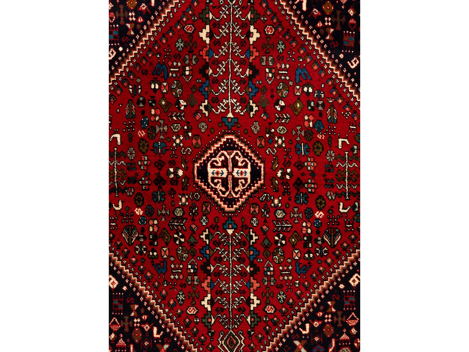 Woltapijt 149x108 Rood Afshar