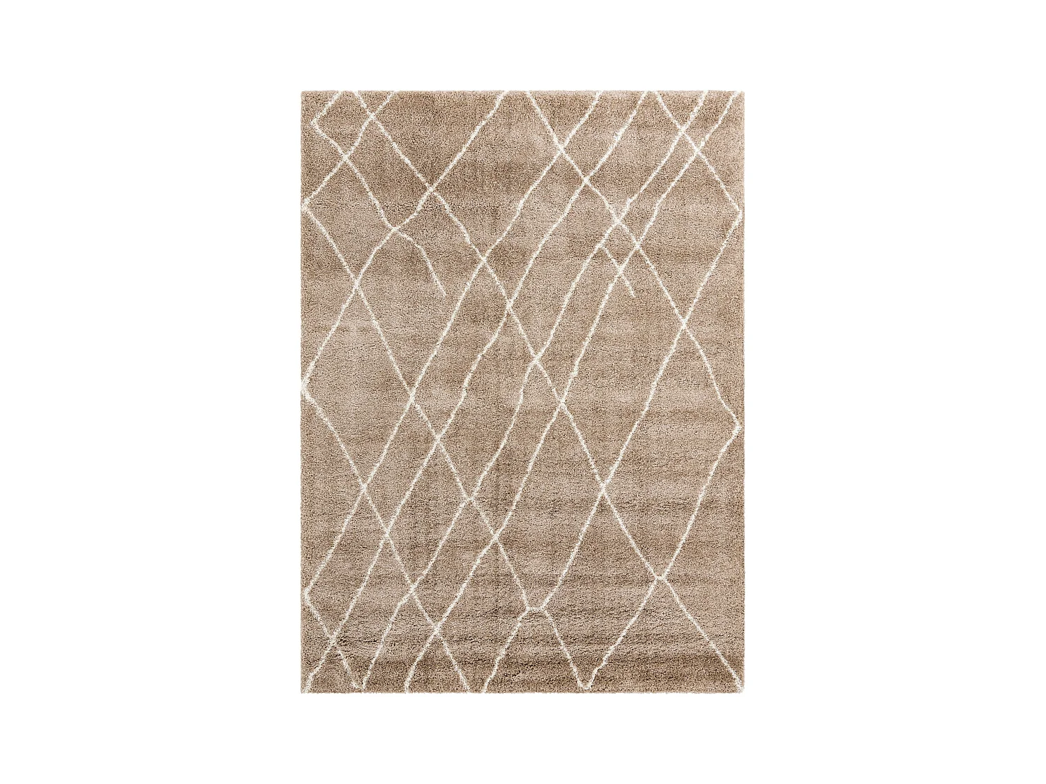 Tapis shaggy 215x305 brun Lachen Fence