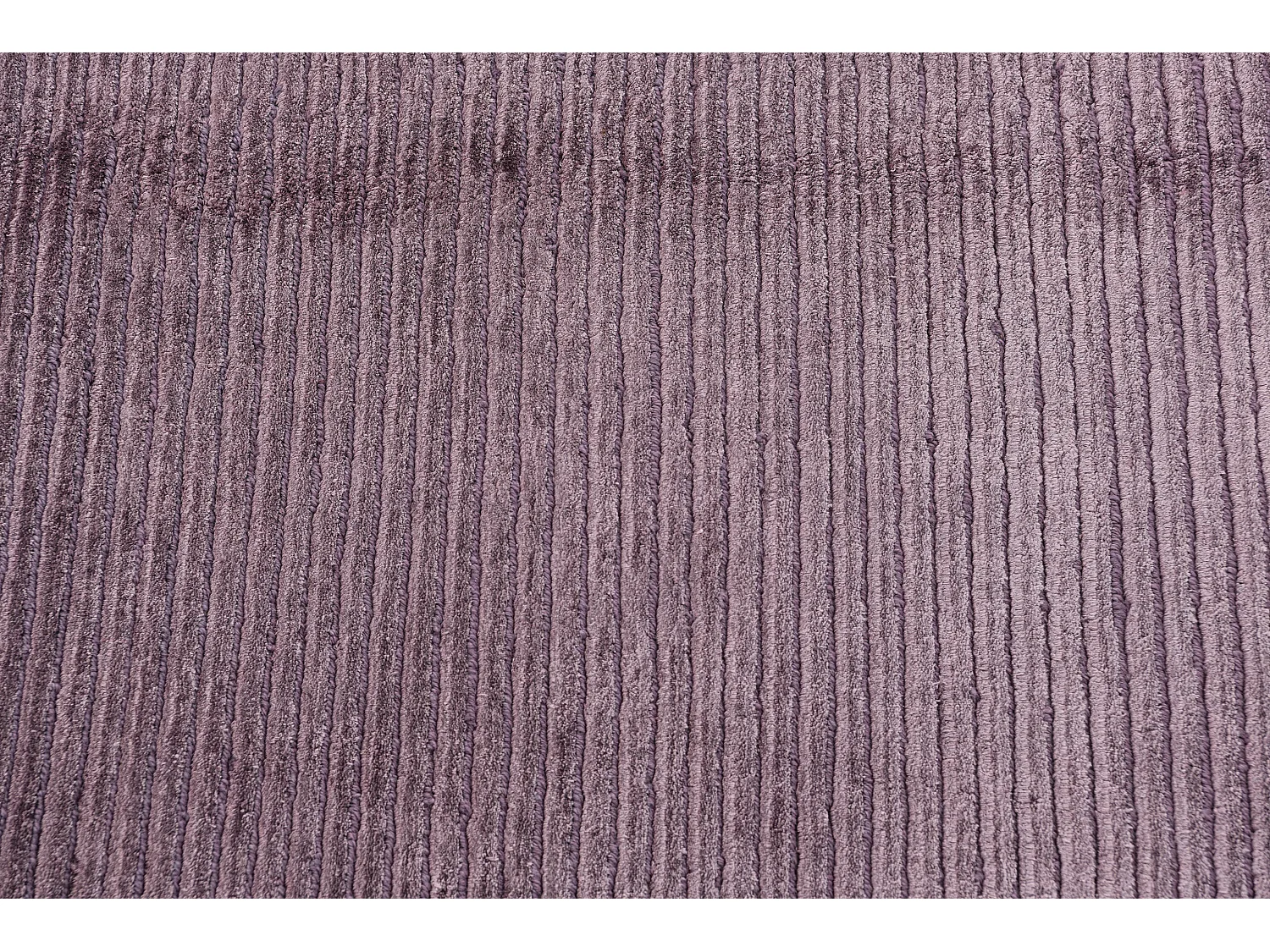 Woltapijt 244x170 Paars Darya