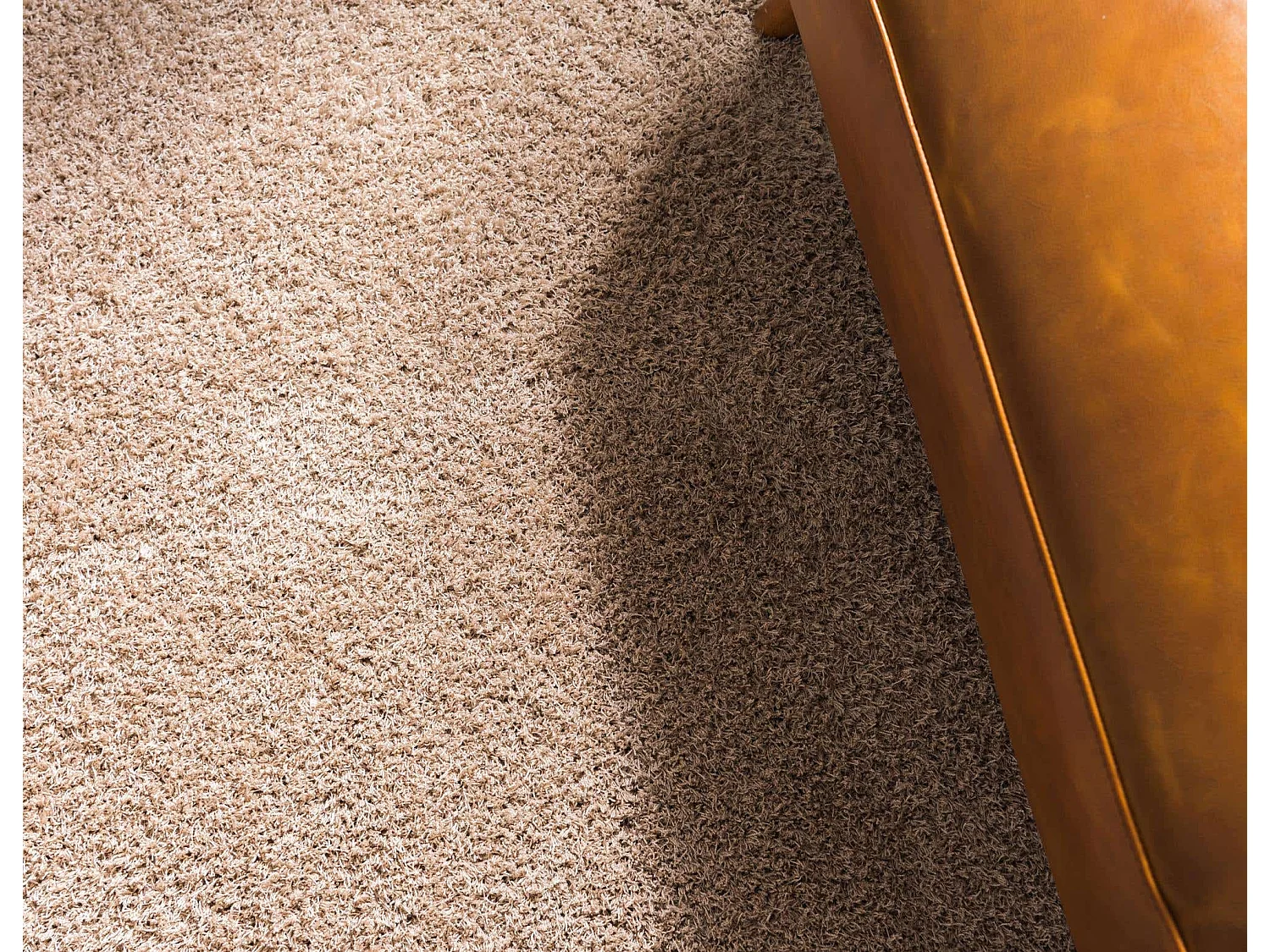 Hoogpolig tapijt 305x79 Beige Luzern