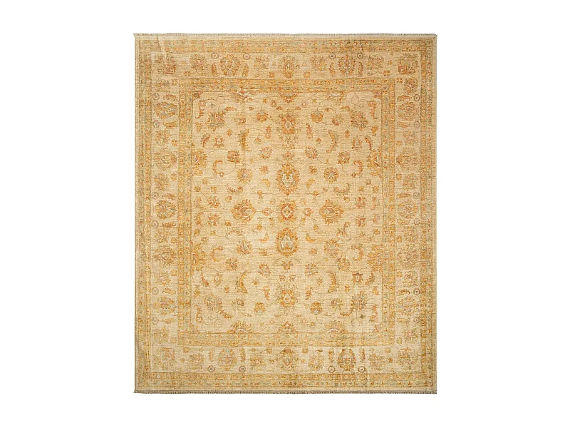 Woltapijt 299x256 Beige Kaizar