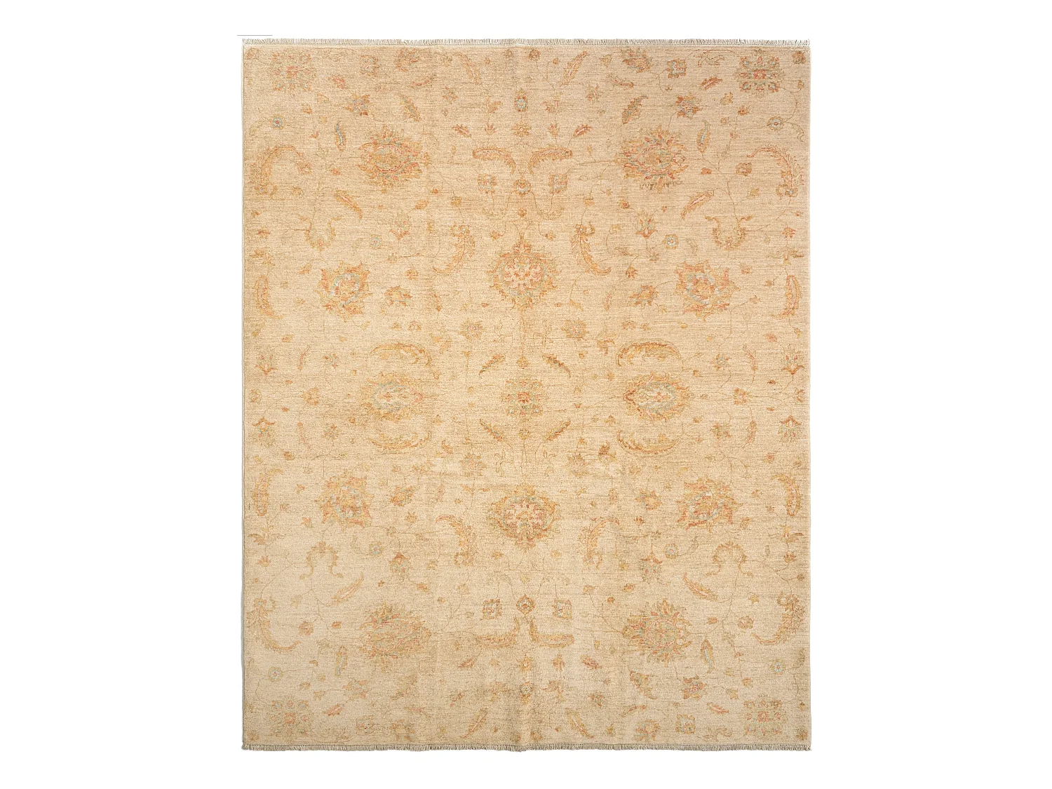 Tappeto in lana 243x301 beige Kaizar