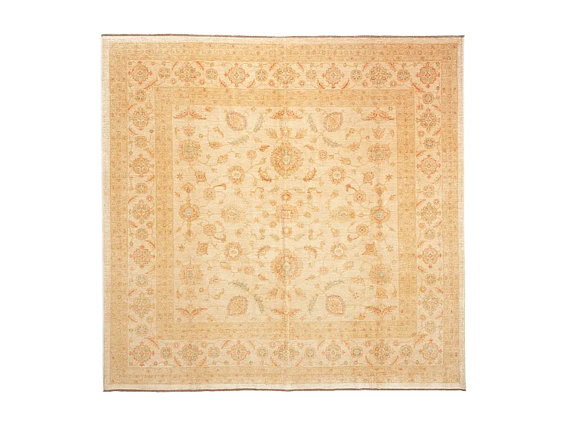 Woltapijt 293x297 Beige Kaizar