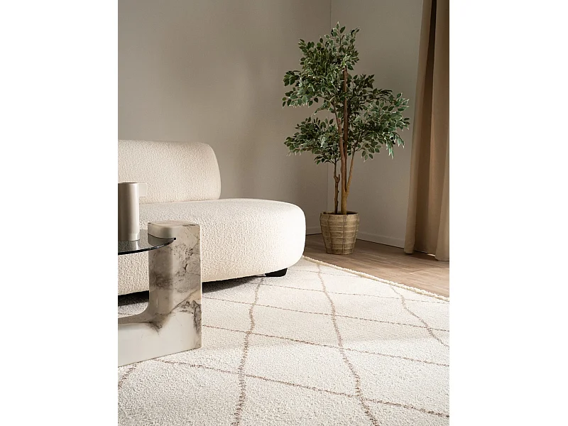 Teppich 160x245 Weiss St. Gallen Folklore