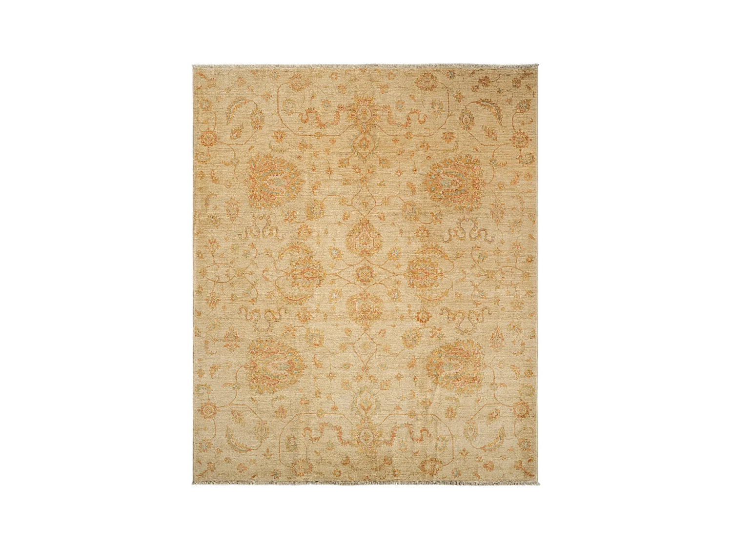Wollteppich 248x300 Beige Kaizar