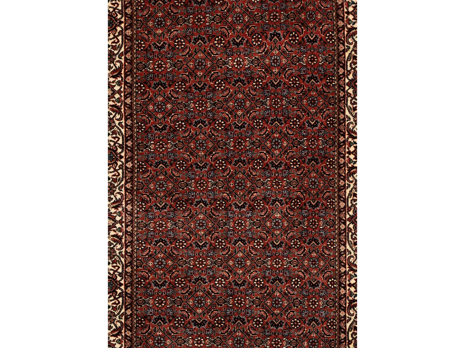 Tapis de couloir en laine 80x292 rouge Bidjar