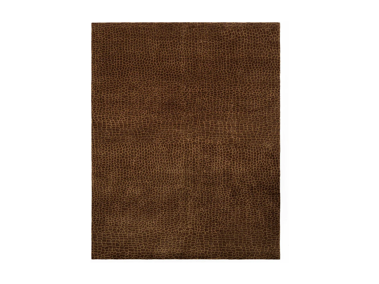 Wollteppich 232x290 Braun Modern Nehmo