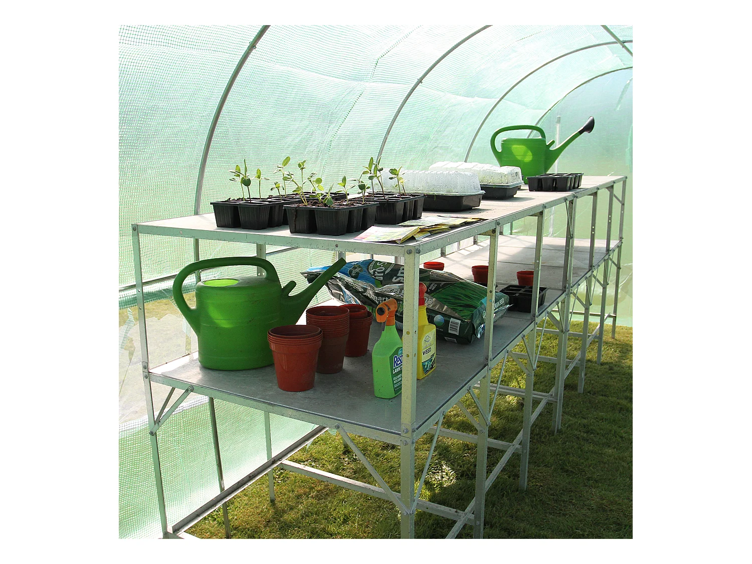 Serre Polytunnel 19mm 5m x 2m avec Étagères