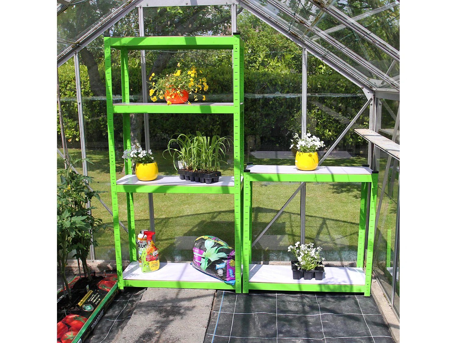 Serre Polytunnel 19mm 2.5m x 2m avec Étagères