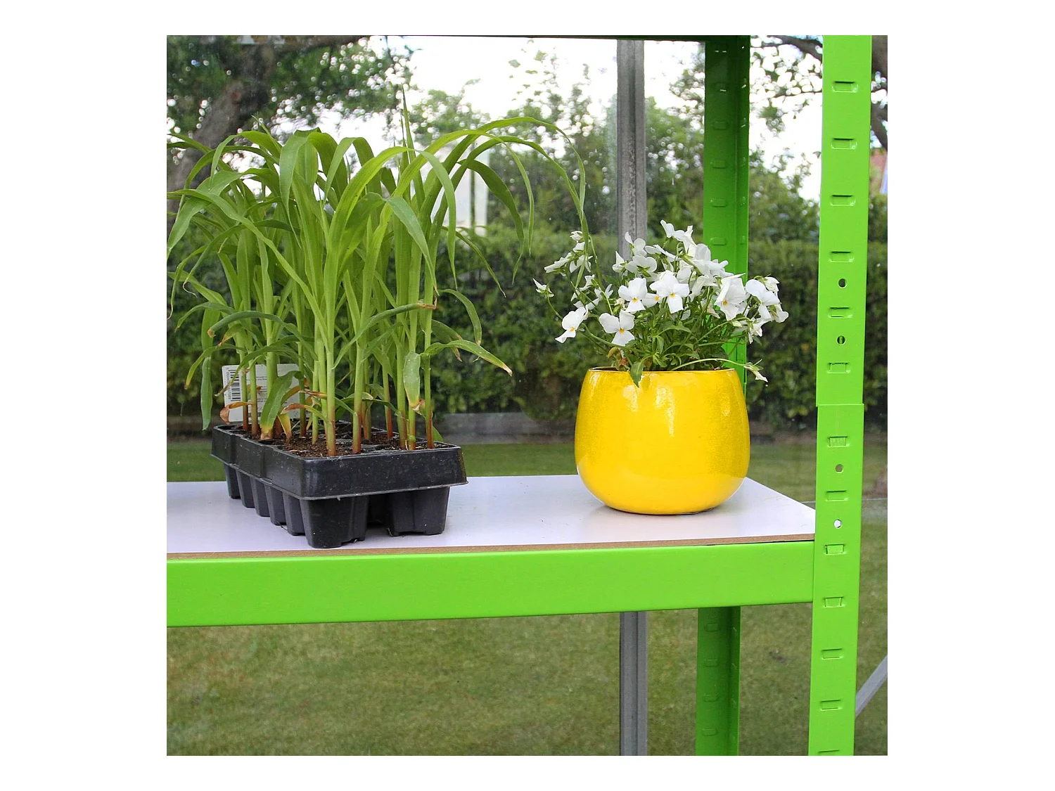 Polytunnel mit Folie und Regale Gewächshaus Treibhaus Tomatenhaus Pflanzenhaus Folientunnel 19mm 2.5m x 2m