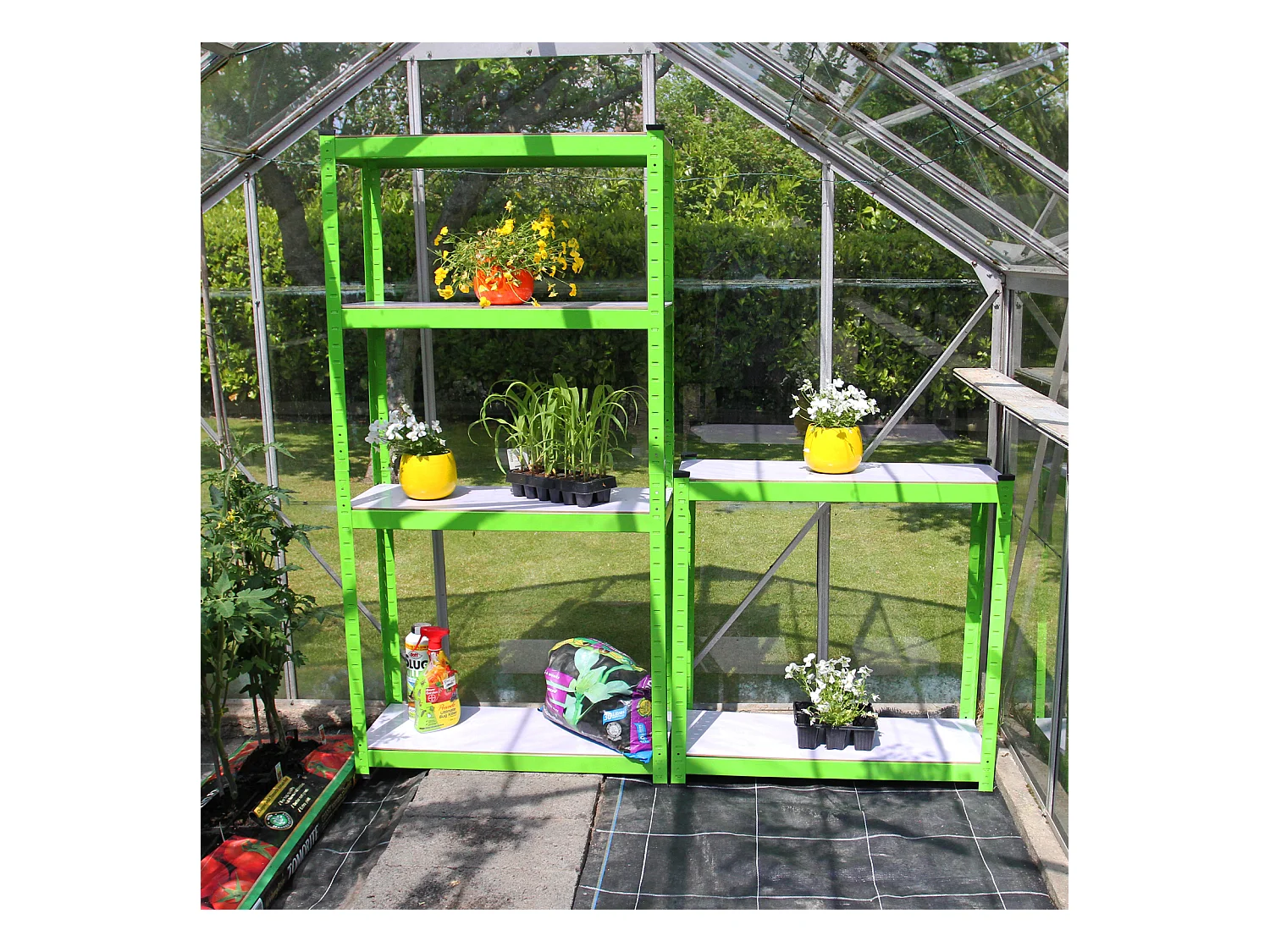 Polytunnel mit Folie und Regale Gewächshaus Treibhaus Tomatenhaus Pflanzenhaus Folientunnel 19mm 2.5m x 2m