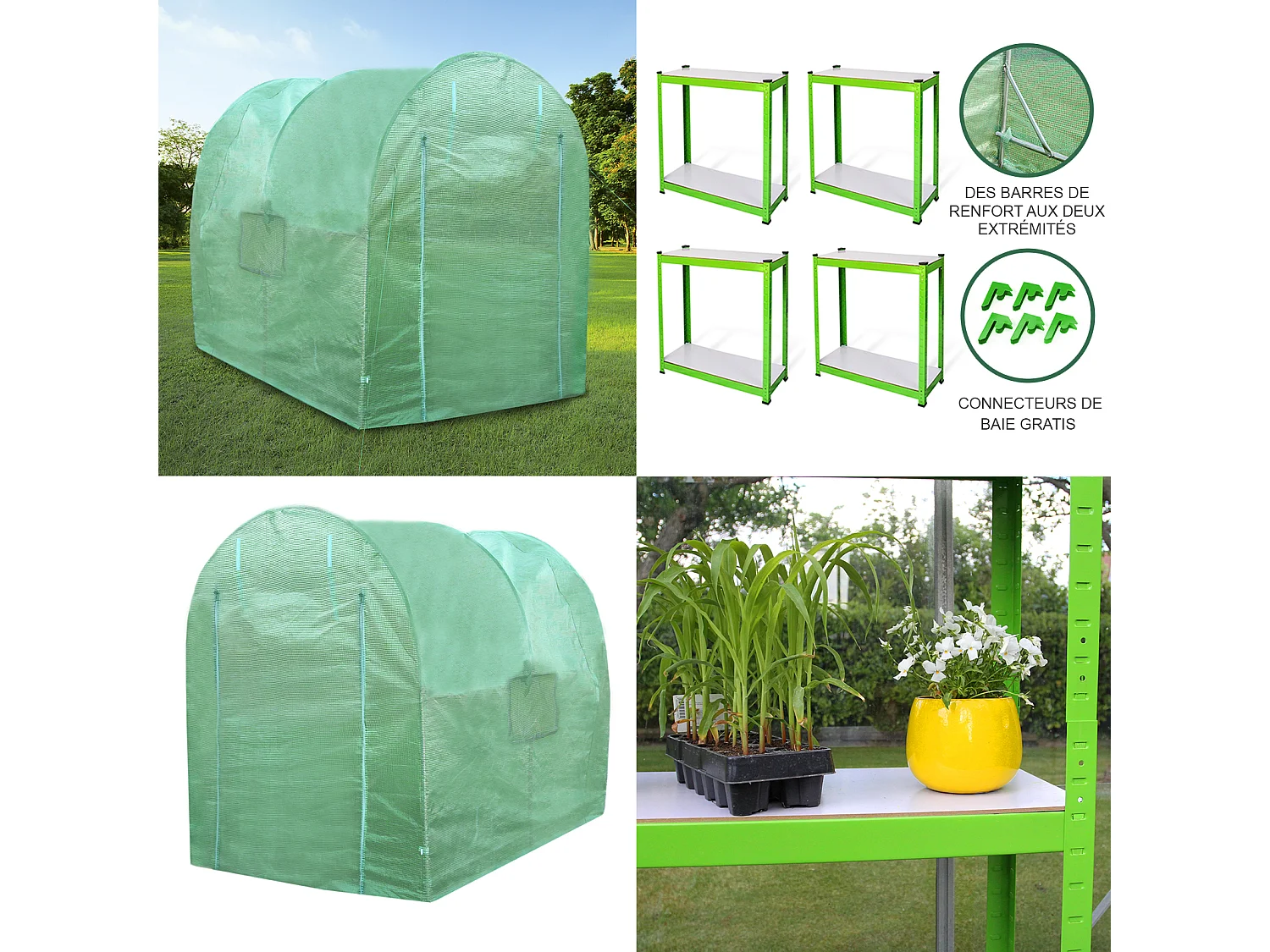 Serre Polytunnel 19mm 2.5m x 2m avec Étagères