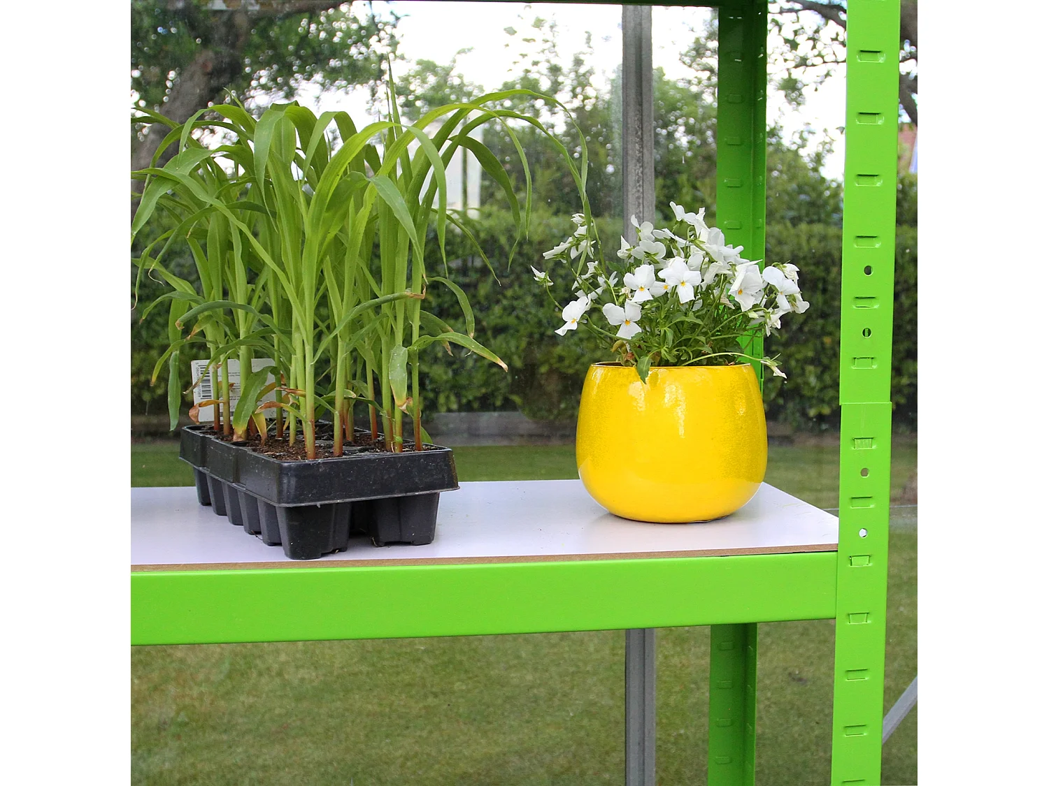 Serre Polytunnel 19mm 2.5m x 2m avec Étagères