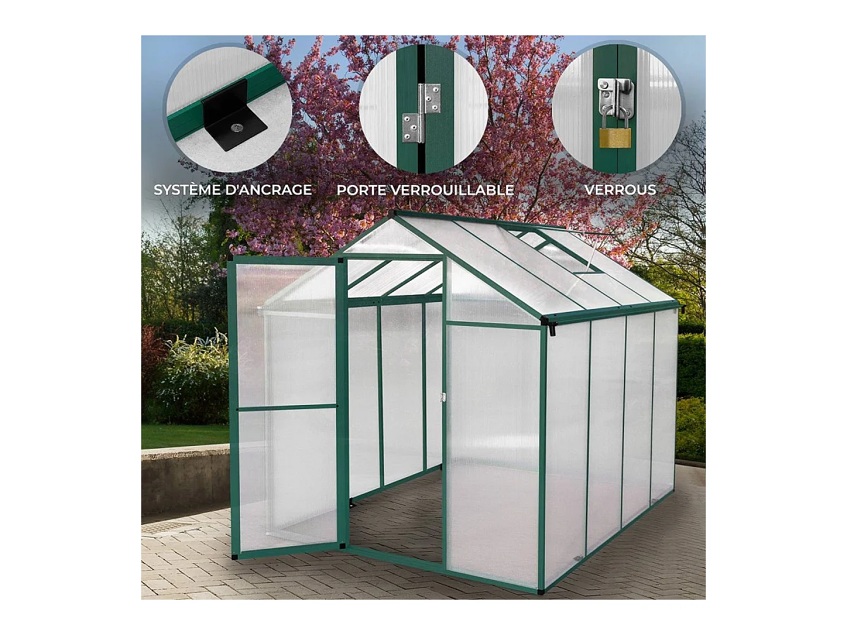Serre de Jardin en Polycarbonate Verte - 180 x 240 cm