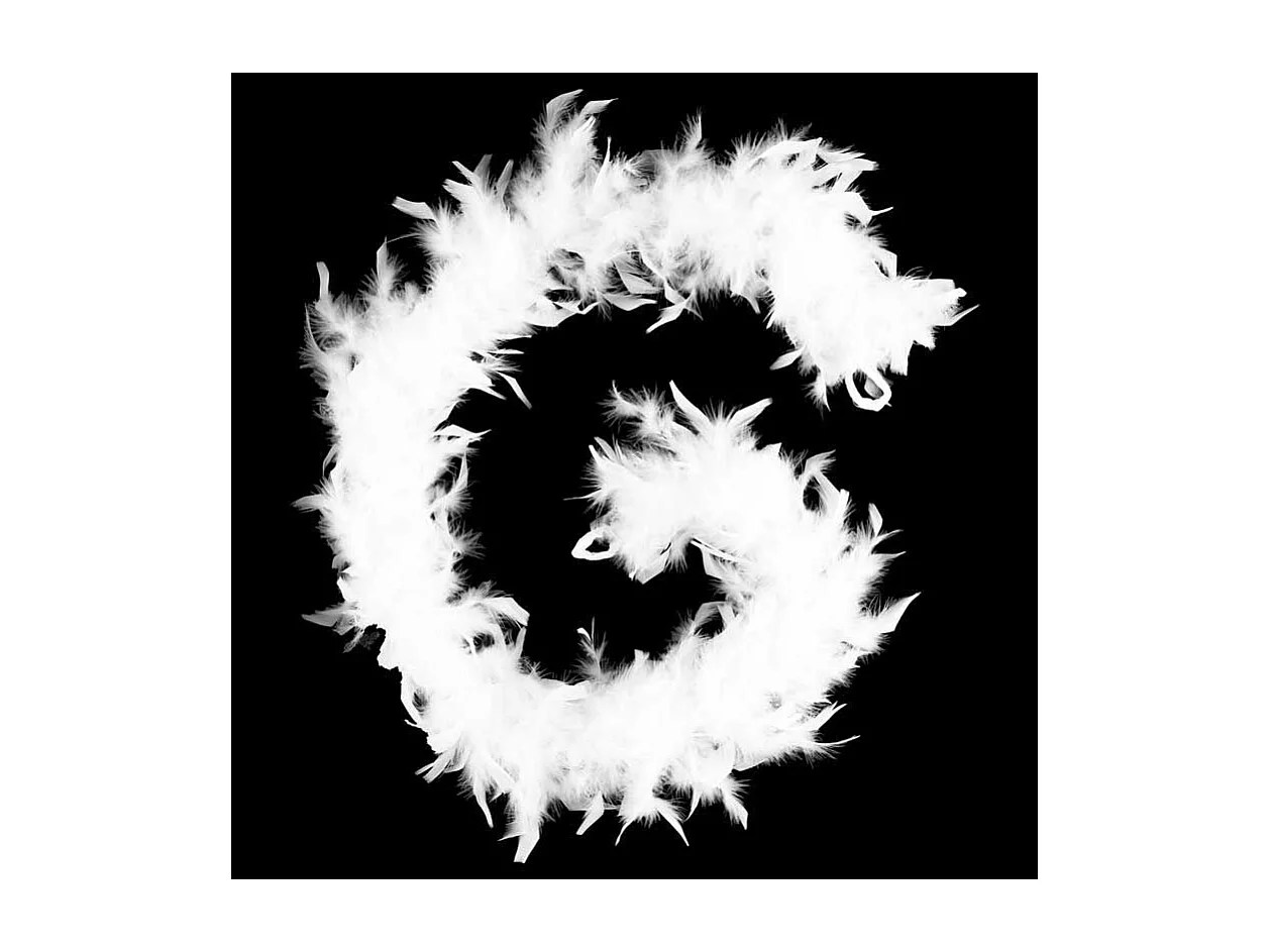 Guirlande Boa Plumes "Héritage" 186cm Blanc