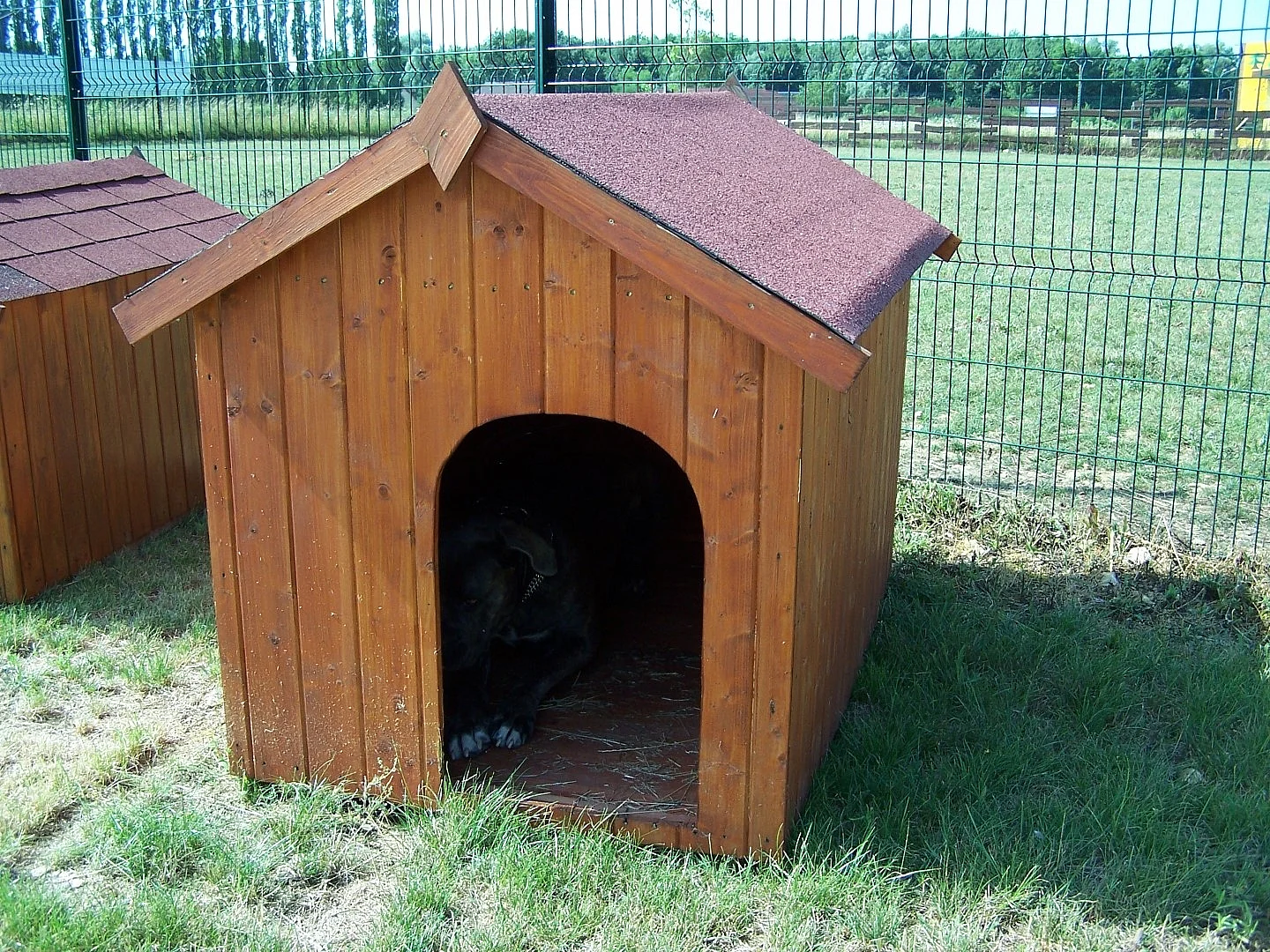 NC0914.01-NICHE À CHIEN BI-PENTE POUR GROS CHIENS