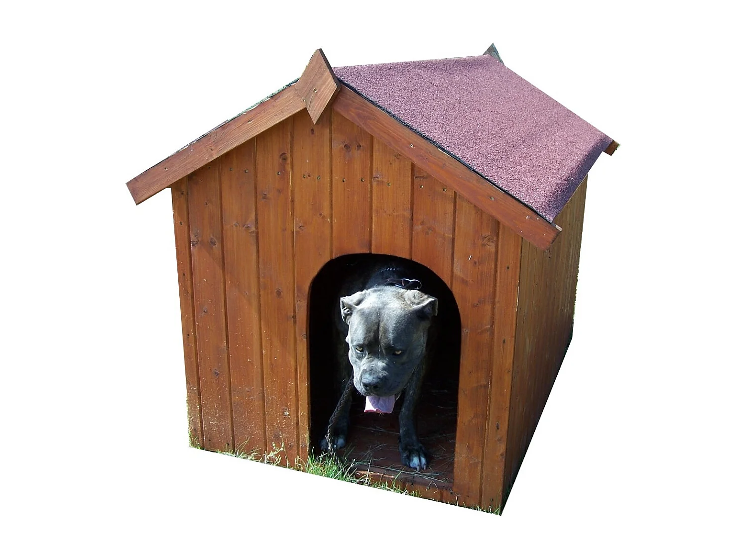 NC0914.01-NICHE À CHIEN BI-PENTE POUR GROS CHIENS