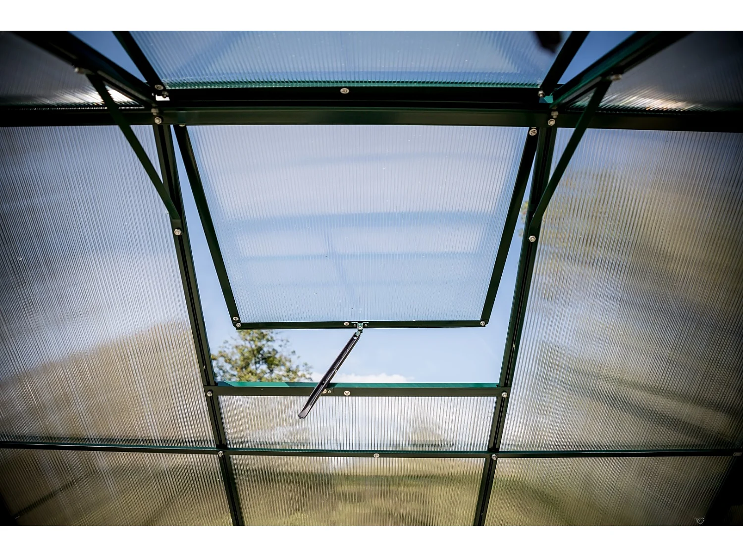 Serre jardin structure aluminium couleur verte