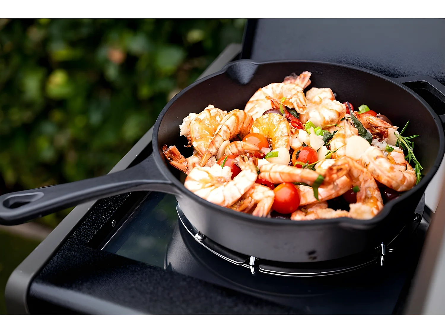 Napoleon Barbecue à gaz sur pieds 5 feux 14.25kw noir - ROGUE-RB425