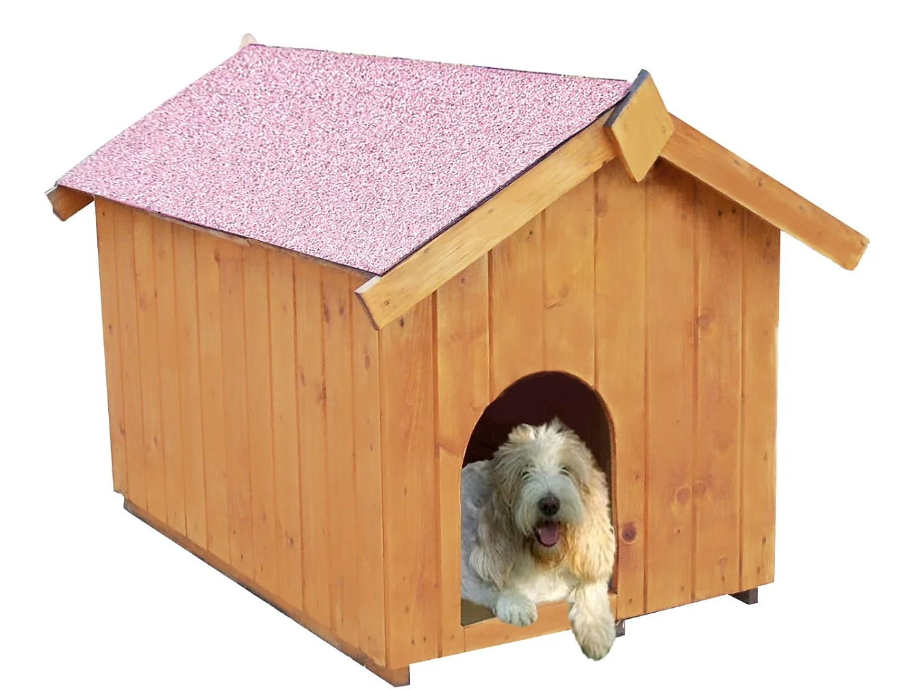 NC0711.01-NICHE À CHIEN BI-PENTE POUR PETITS CHIENS