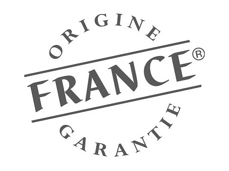 Plaque induction BRANDT 46cm, BPI1641UX