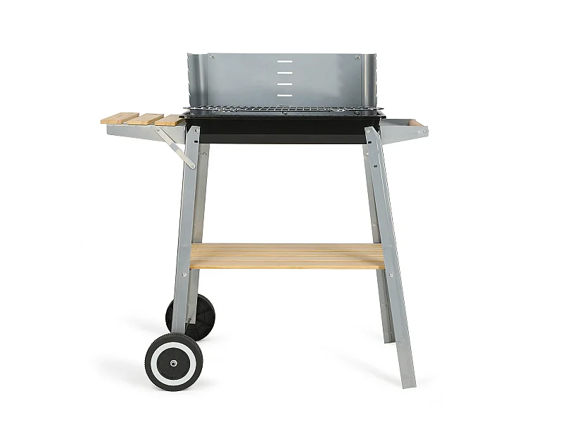 Livoo Barbecue à charbon 48x28cm - doc244