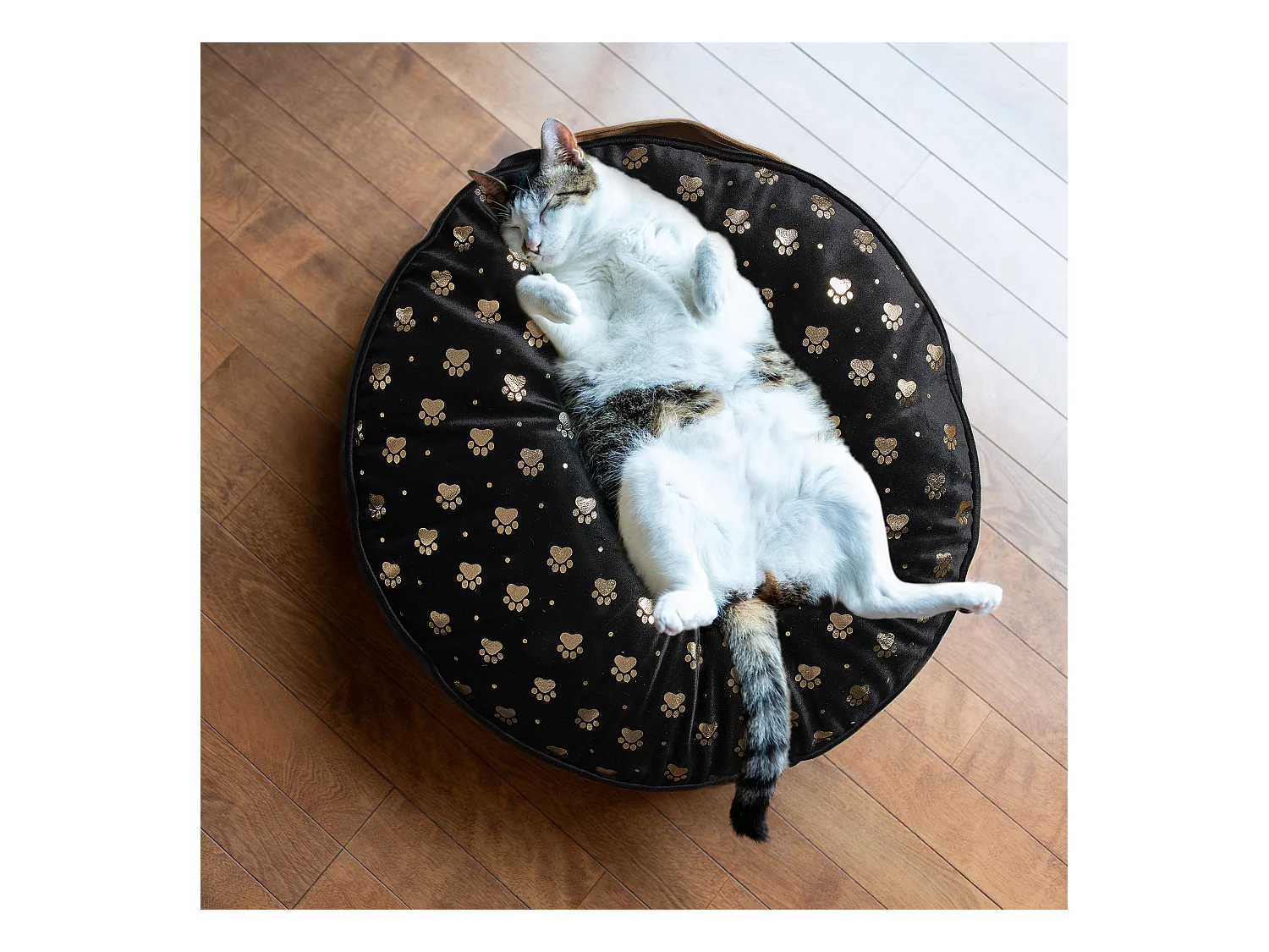 Coussin Pour Animaux 60x60x10cm Noir