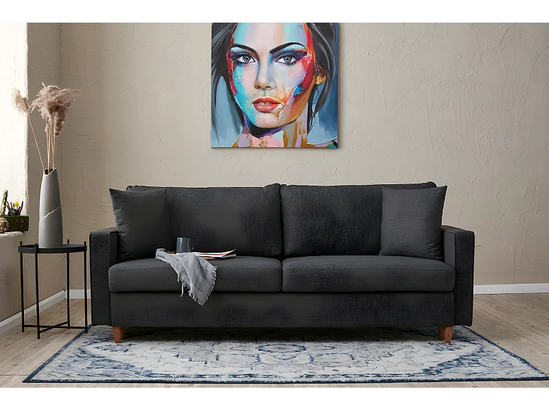 Sofá-cama Altadena 312, 82x210x90cm