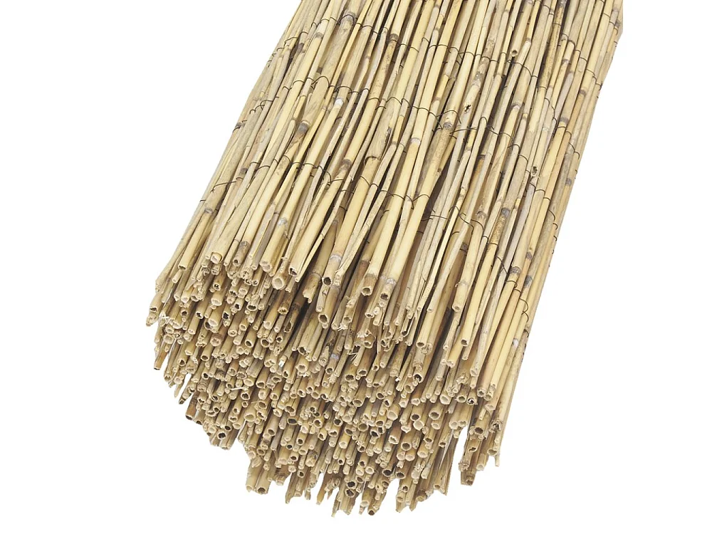 Canisse en roseau Lot de 3