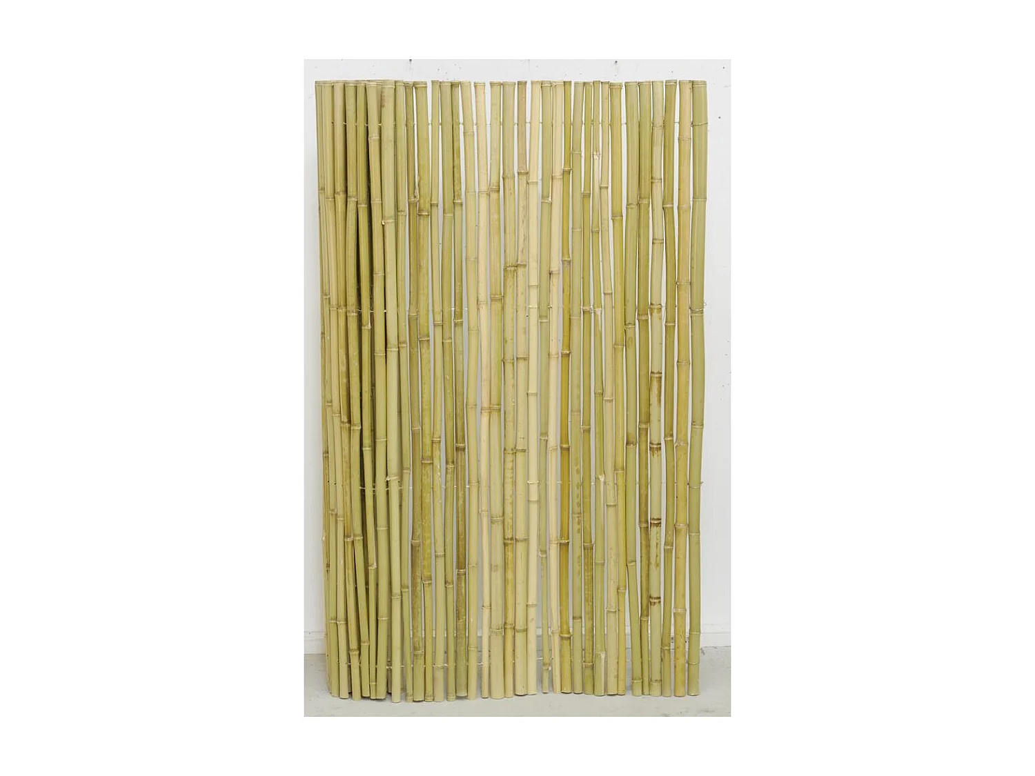 Canisse en bambou Lot de 5