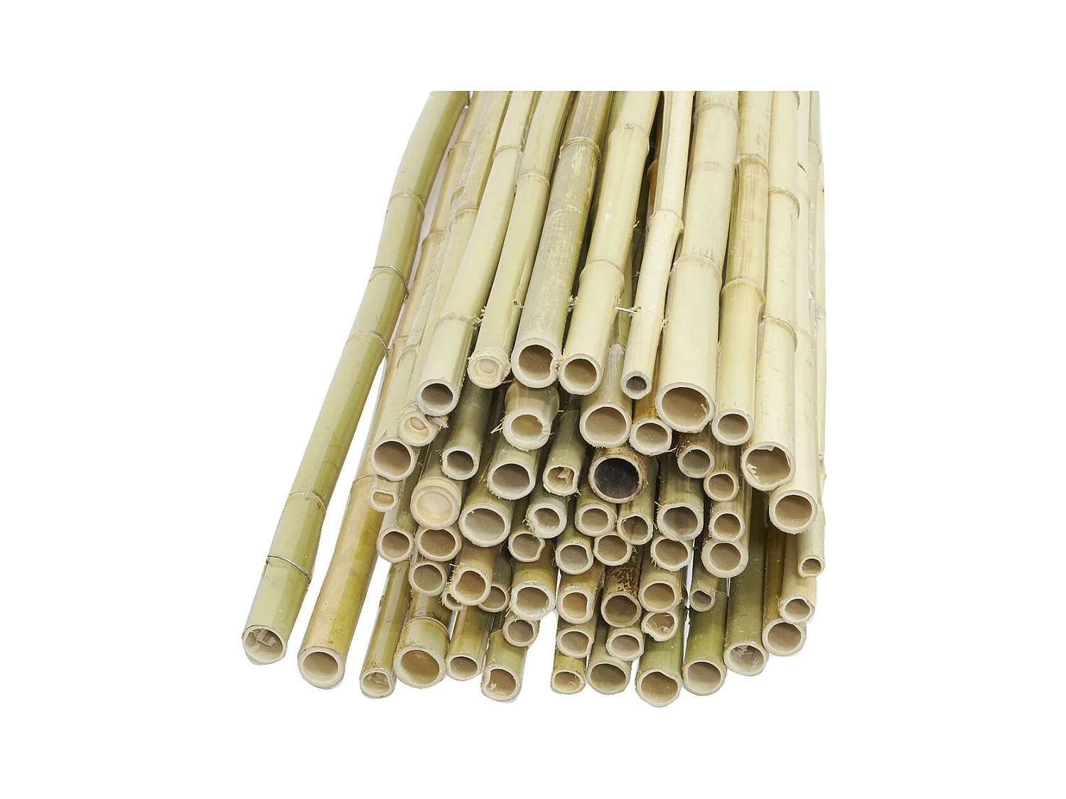Canisse en bambou Lot de 5