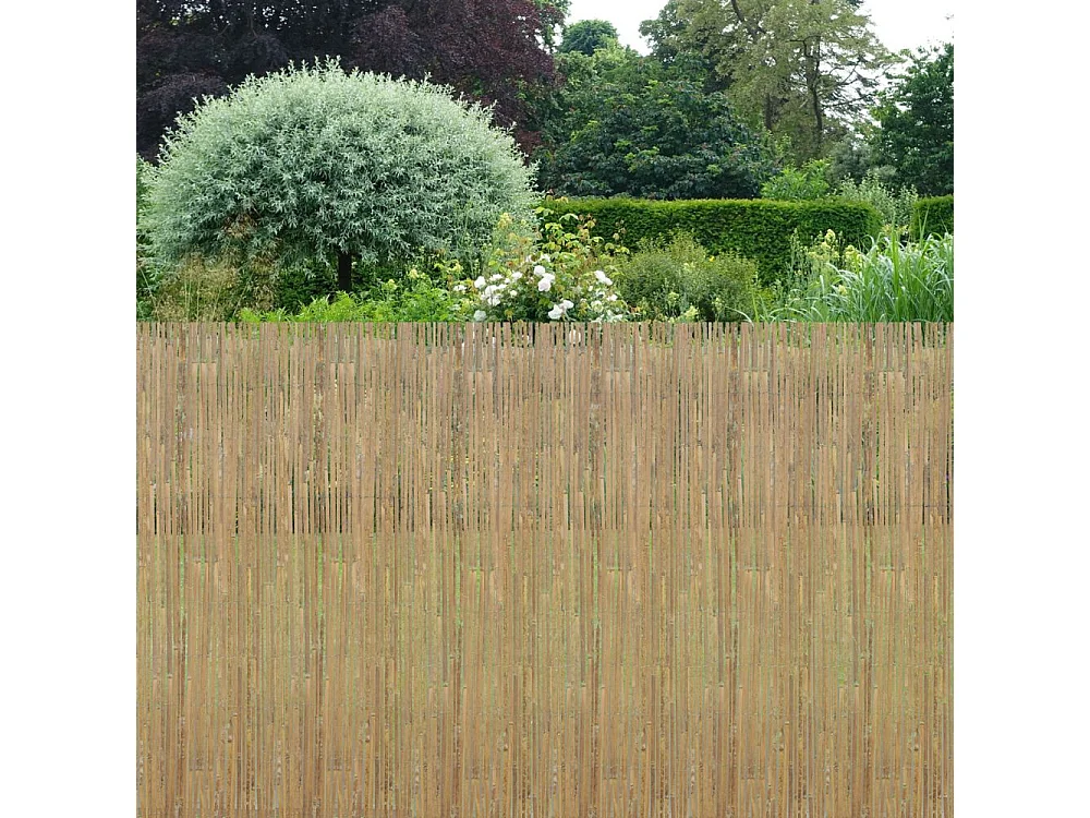 Canisse en bambou naturel - 1 x 5m [Lot de 5]