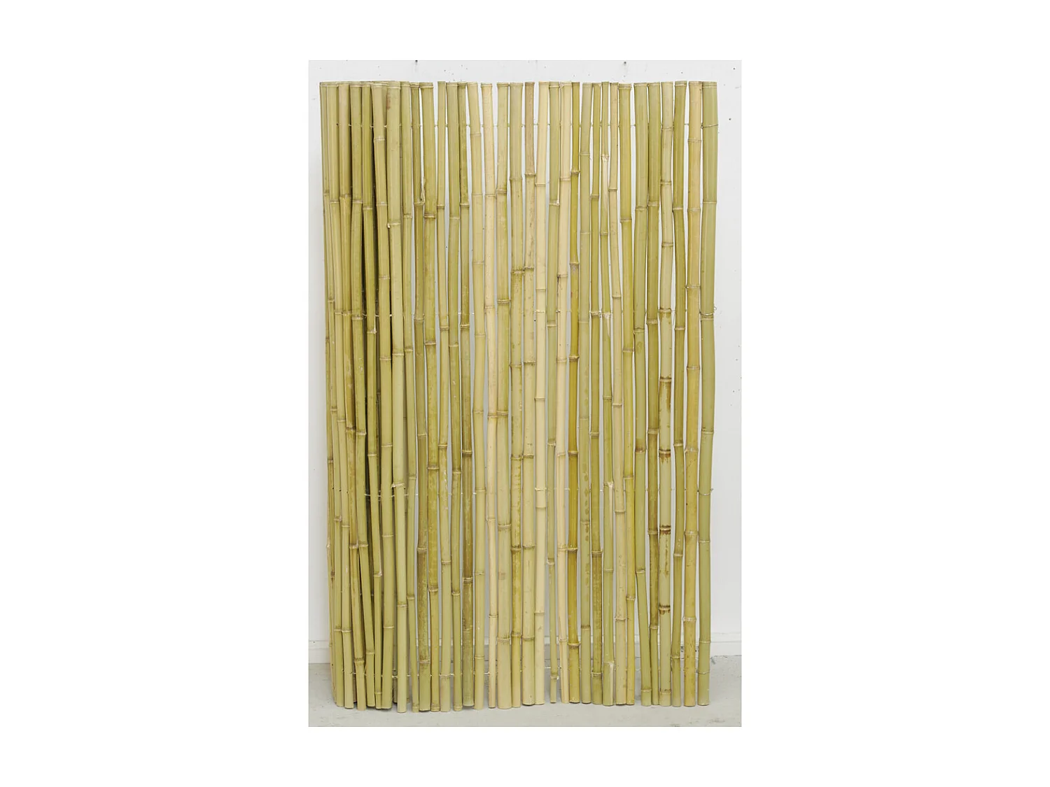 Canisse en bambou Lot de 3