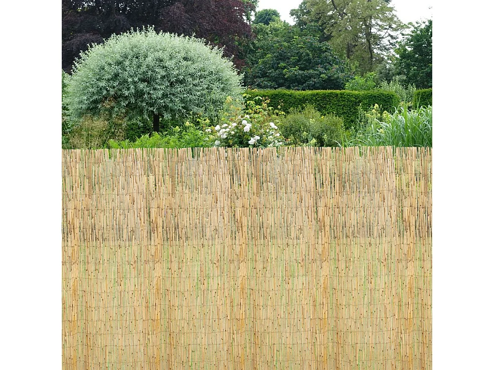 Canisse en roseau Lot de 5