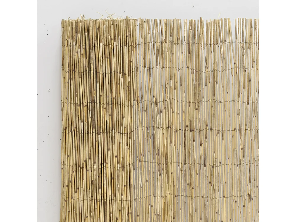 Canisse en roseau Lot de 5