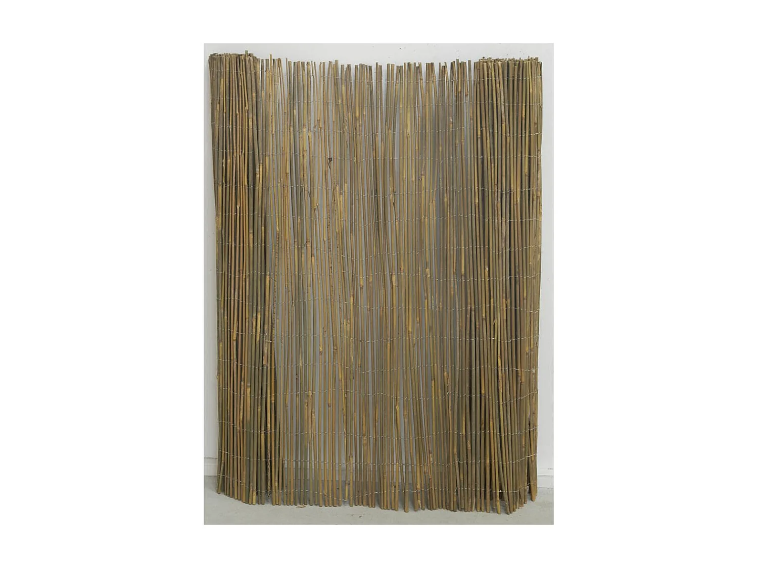 Canisse en petit bambou Lot de 5