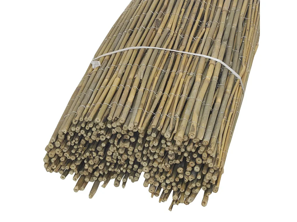 Canisse en petit bambou Lot de 5