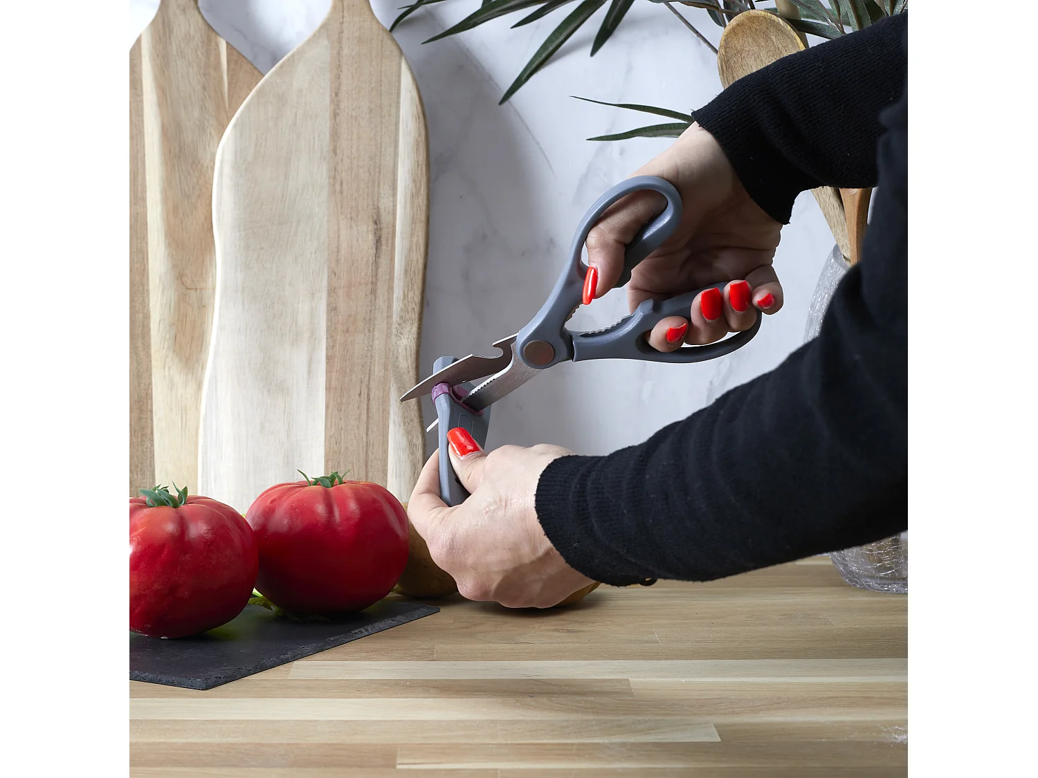 Ciseaux Avec Fourreau Aiguiseur Gris