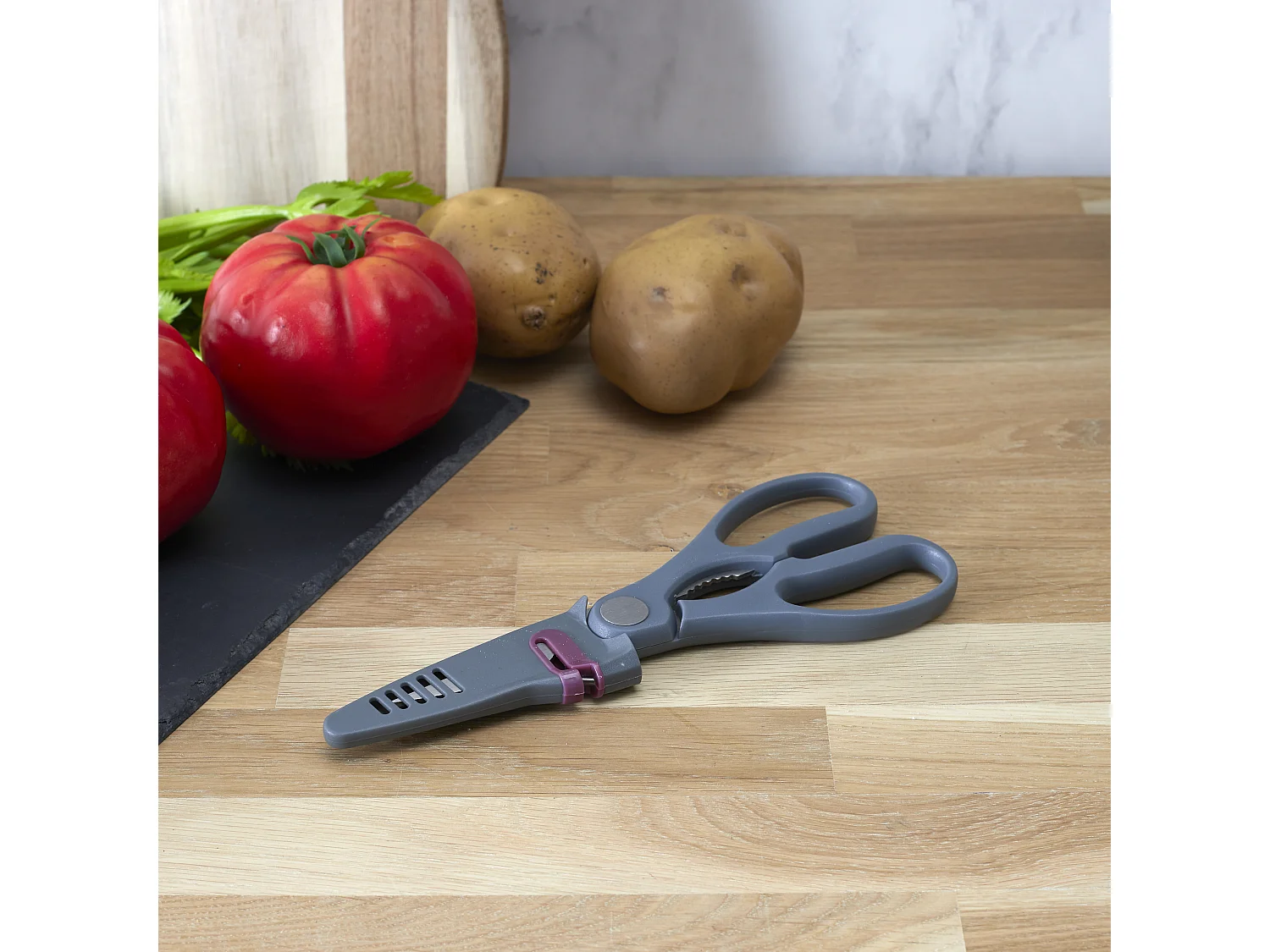 Ciseaux Avec Fourreau Aiguiseur Gris