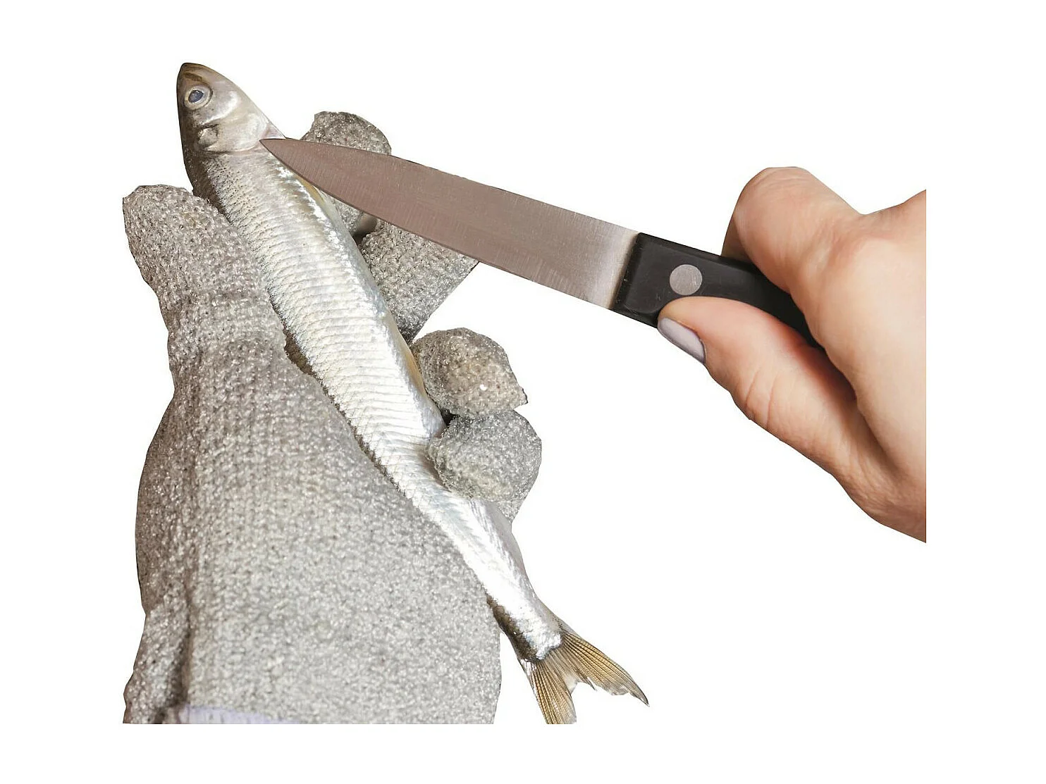 Gant de Cuisine "Anti Coupure" 24cm Gris