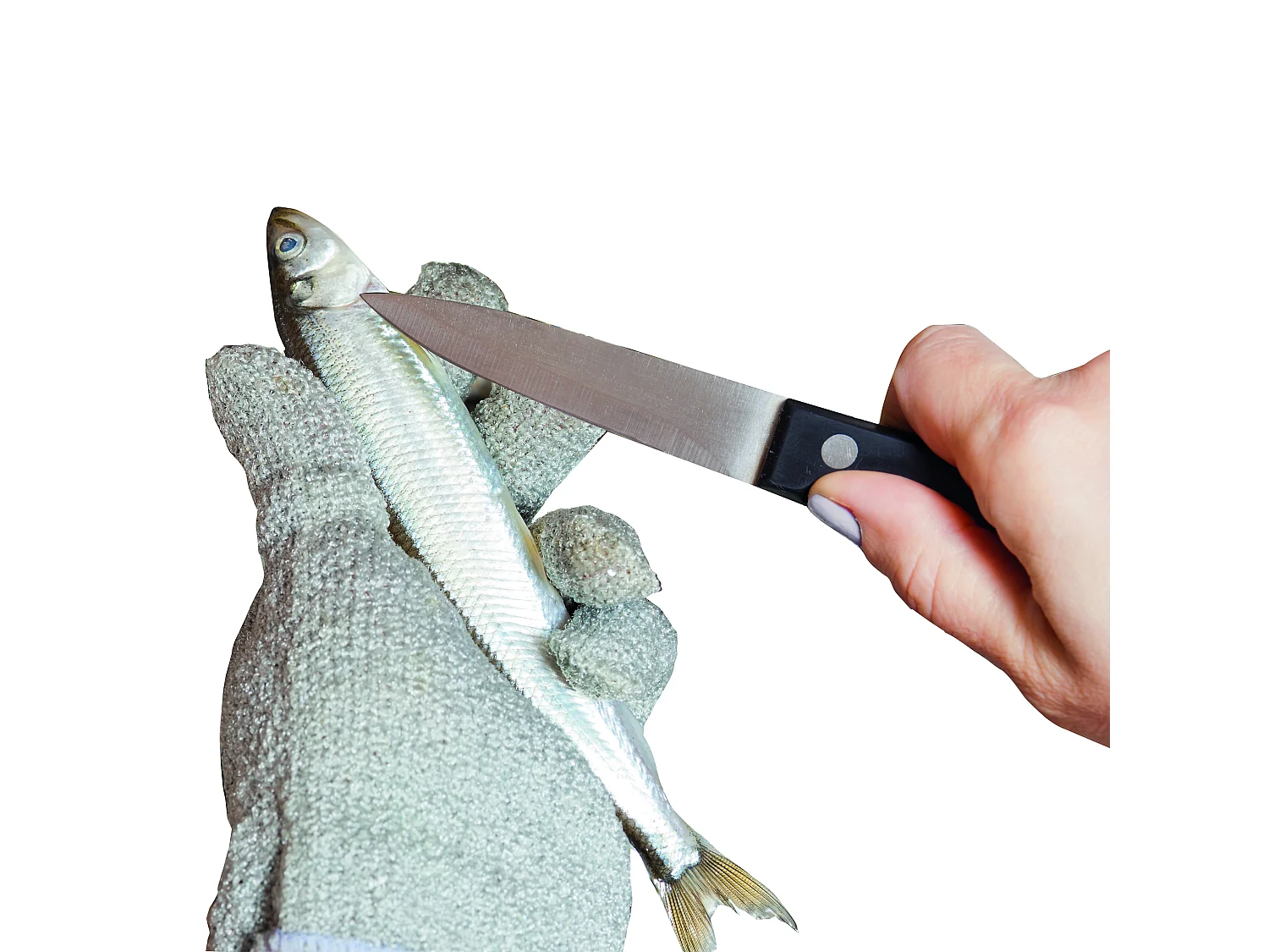 Gant Anti Coupure - COOK CONCEPT - Protection Ultra Résistante - Gris