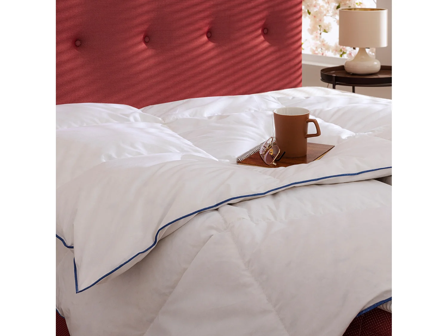 Pack couette prestige hôtellerie 260x240 et oreiller 70% duvet de canard anti-allergènes Someo