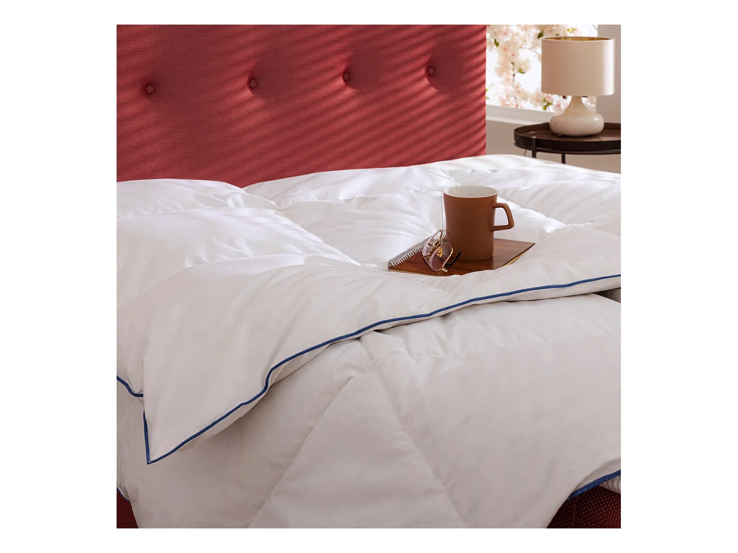 Couette prestige hôtellerie duvet de canard Someo 240x220