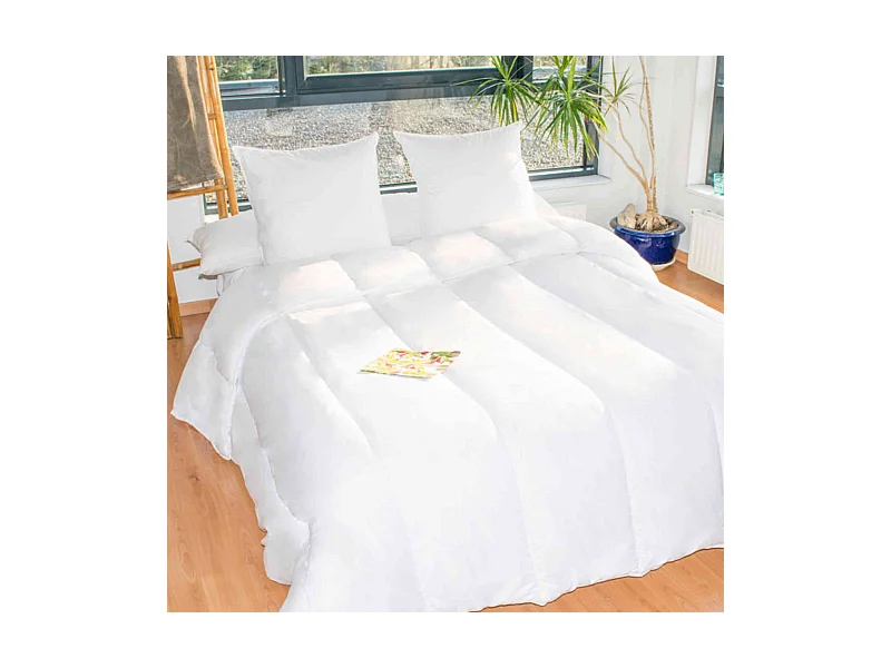 Couette spéciale été anti-transpiration 140x200