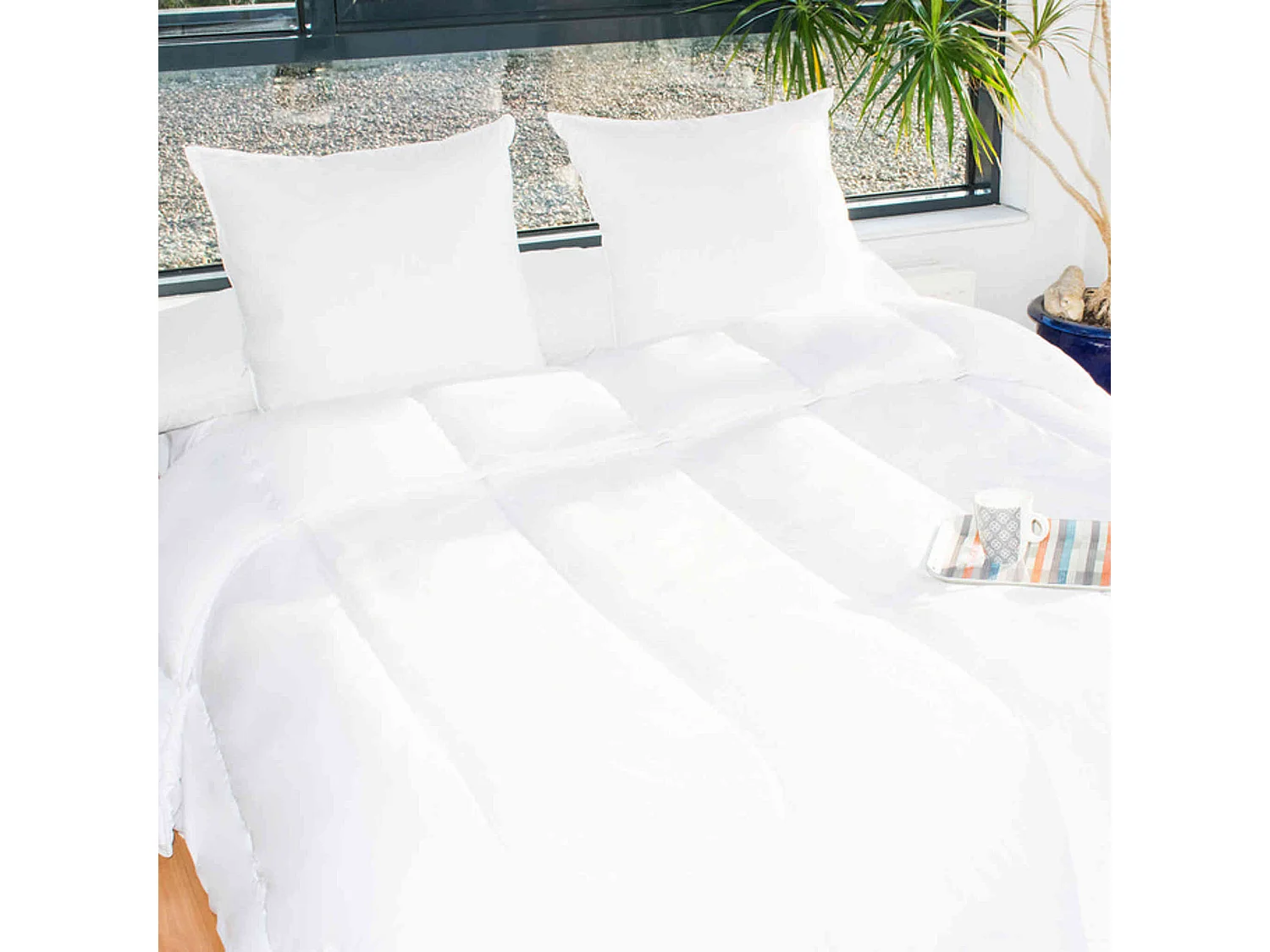 Couette protection anti-acariens 240x220