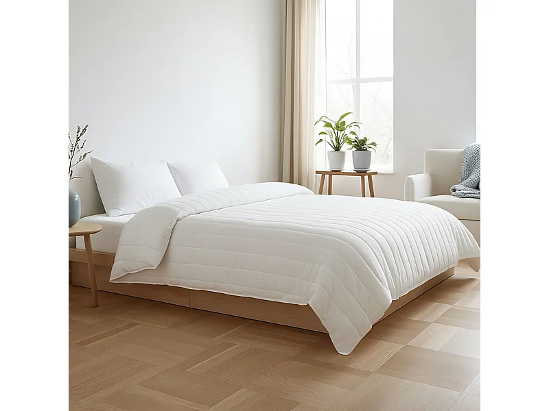 Couette mi-saison anti-punaises et anti-insectes enveloppe microfibre 350g 260x240