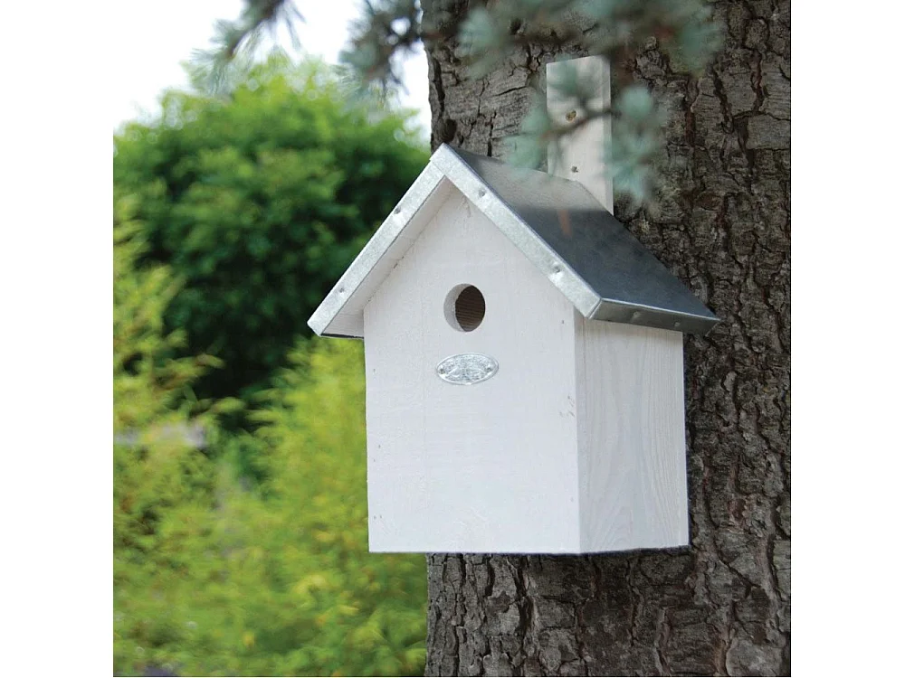 Nichoir à mésange en bois de pin blanc