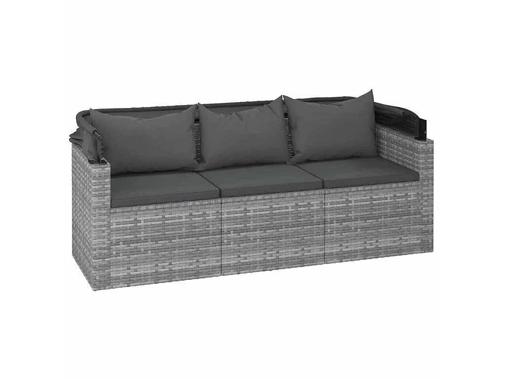 Canapé de jardin 3 places avec toit et repose-pieds Gris