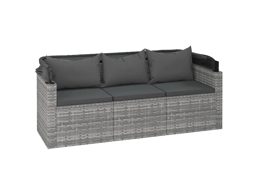 Canapé de jardin 3 places avec toit et repose-pieds Gris